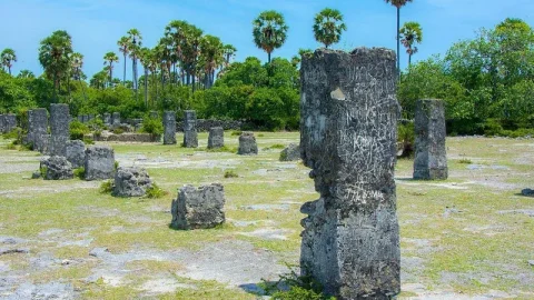Neduntheevu (Ilha Delft)