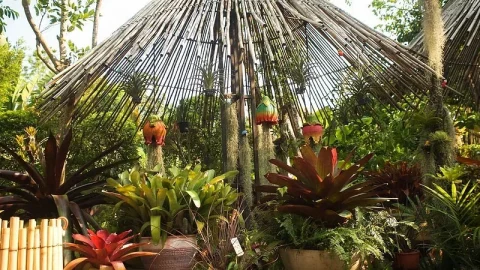 Jardim Botânico de Phuket