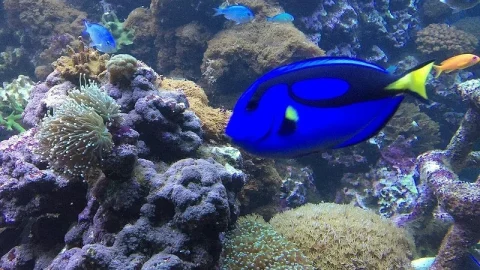 SEA LIFE® Brighton