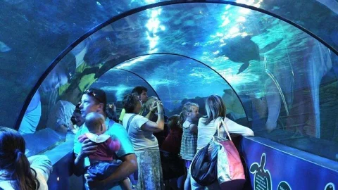 Weymouth SEA LIFE® Adventure Park