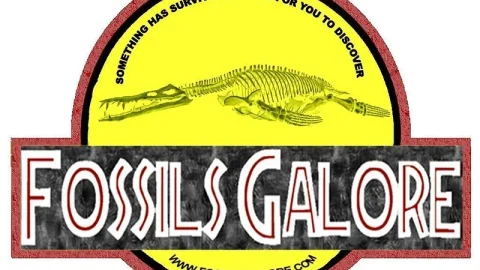 Fossils Galore