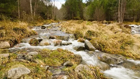 Parque Nacional Cairngorms