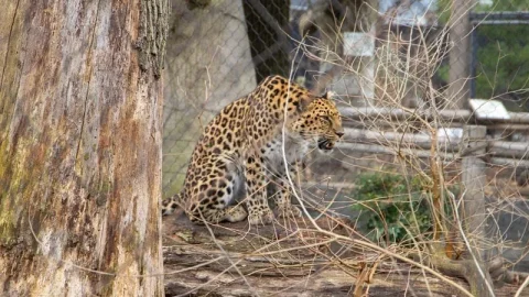 Zoológico de Staten Island
