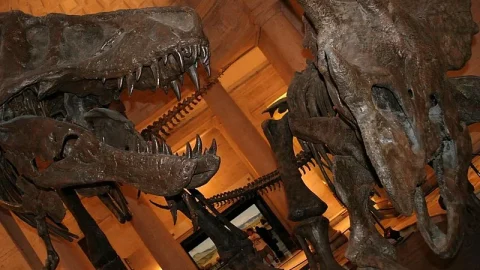Museu de História Natural do Condado de Los Angeles