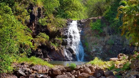 Cachoeira Waimea