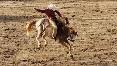 Houston Livestock Show and Rodeo
