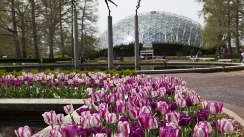 Jardim Botânico do Missouri