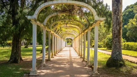 Jardim Botânico do Rio de Janeiro