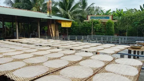 Fábrica de Macarrão de Arroz Sau Hoai