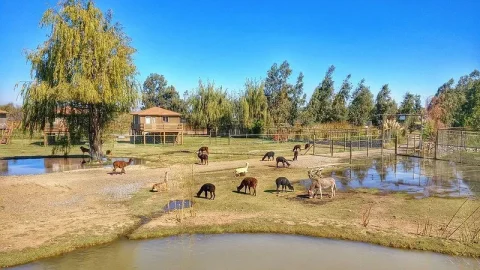 Parque Safari Chile