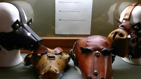 Museu de Máquinas Sexuais