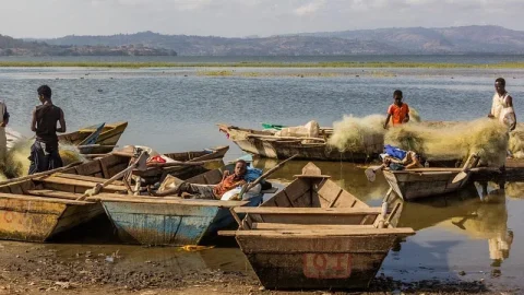 Mercado de Peixes do Lago Hawassa