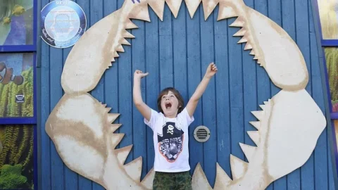 SEA LIFE® Helsinque