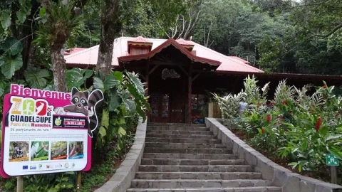 Zoológico de Guadalupe