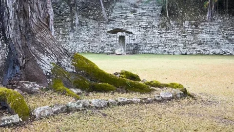 Las Sepulturas