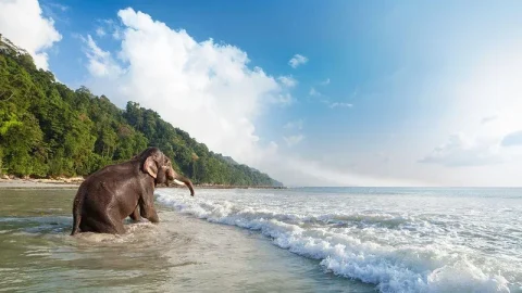 Praia do Elefante