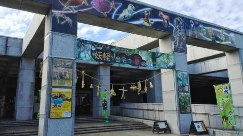 Museu e Instituto de História Natural de Chiba