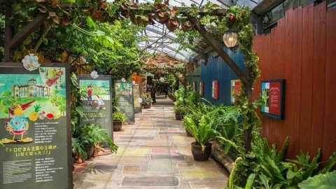 Okinawa Fruits Land