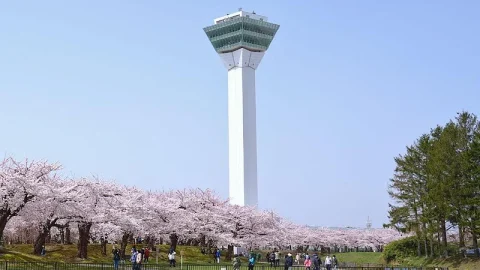 Torre Goryokaku