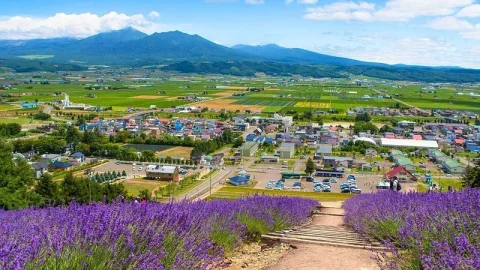 Choei Lavender Farm
