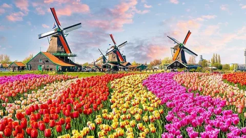 Zaanse Schans