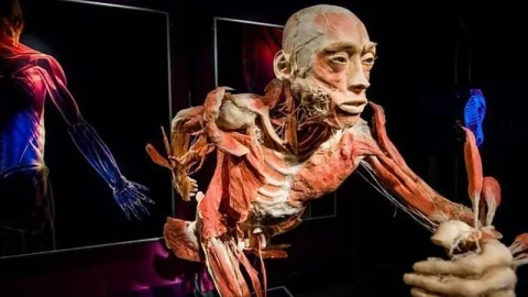 Body Worlds Amsterdam