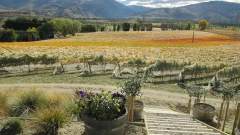 Central Otago